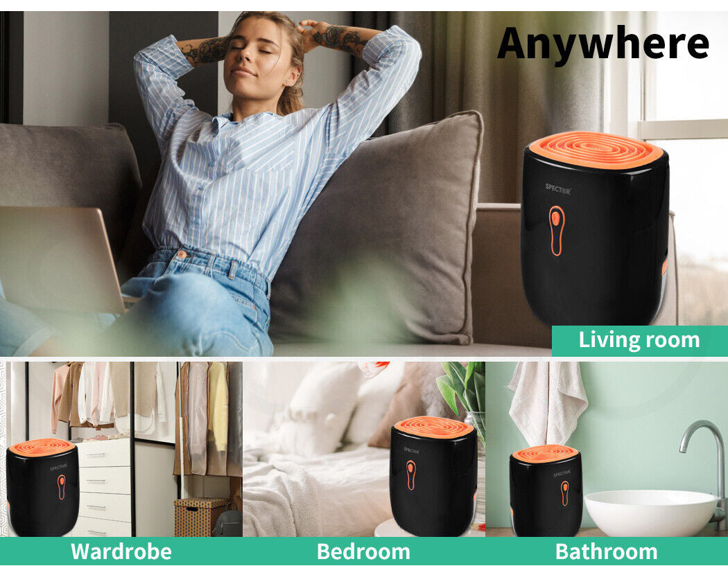 Mini Moisture Dehumidifier